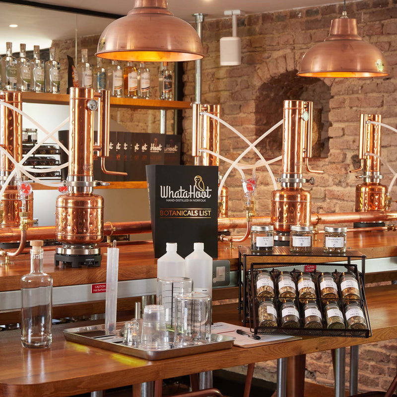Gin Experience Bottle 70cl - WhataHoot